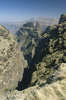 The Saha Abyss